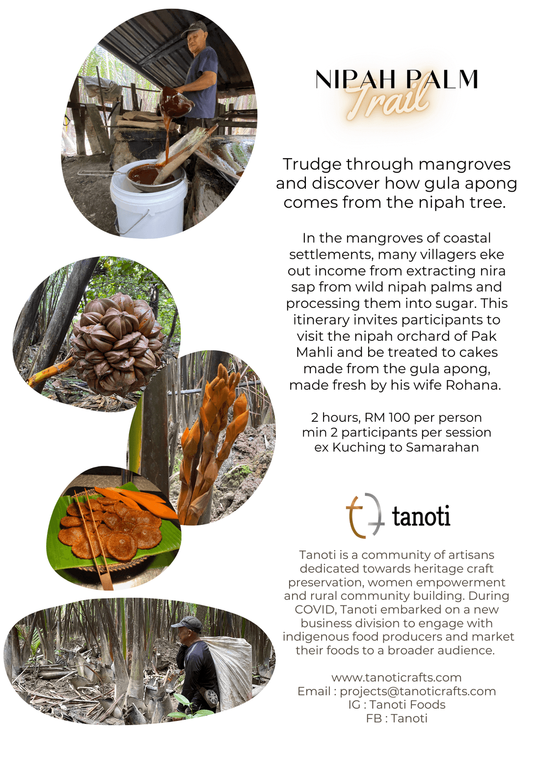 Nipah Palm Trail