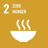 UN Sustainable Development Goal