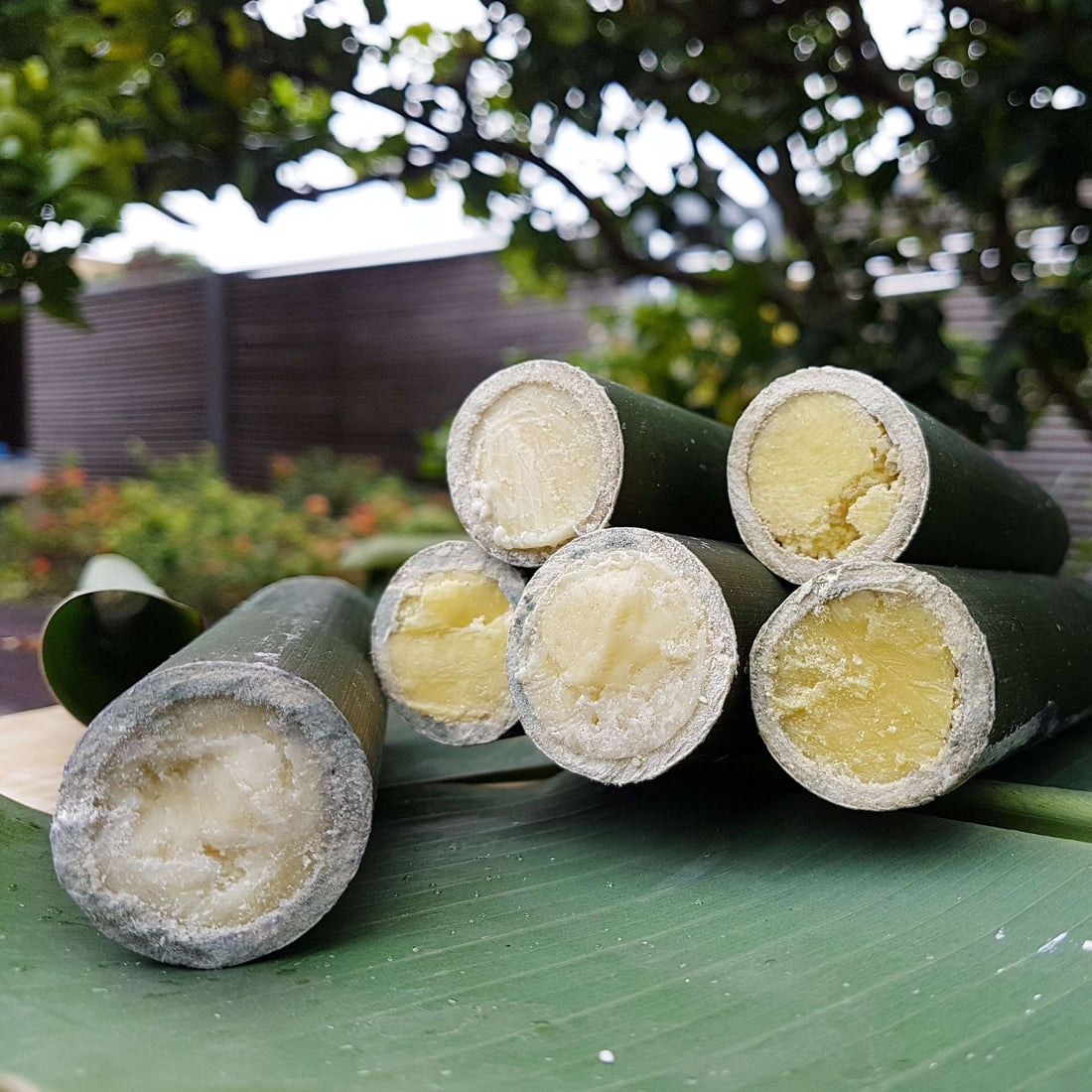 Engkabang Butter